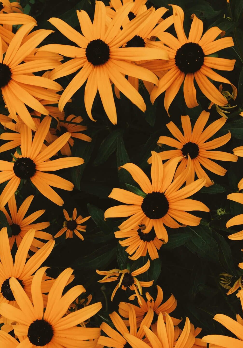 kasia-wanner-Pi7R19E3_QQ-unsplash